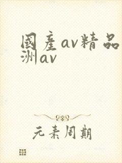 国产av精品亚洲av