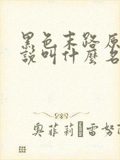 黑色末路原著小说叫什么名字