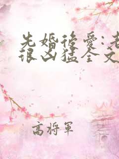 先婚后爱:老公很凶猛全文小说免费阅读全文