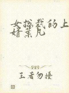 女总裁的上门女婿叶凡