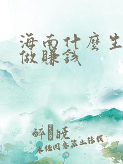 海南什么生意好做赚钱