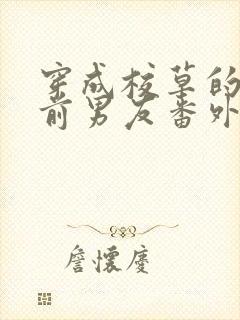 穿成校草的炮灰前男友番外