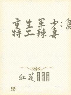 重生军少:枭宠特工辣妻