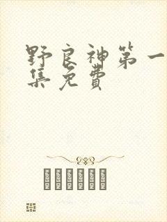 野良神第一季全集免费