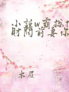 小说w霸总倒追财阀前妻你高攀不起》