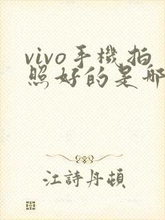 vivo手机拍照好的是哪一款