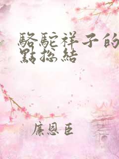 骆驼祥子的知识点总结