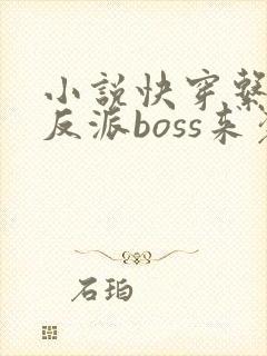 小说快穿系统之反派boss来袭