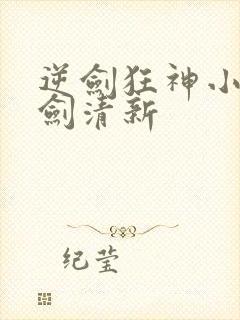 逆剑狂神小说一剑清新