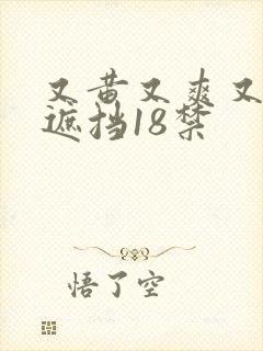 又黄又爽又色无遮挡18禁