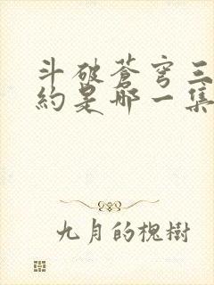 斗破苍穹三年之约是哪一集