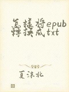 怎样将epub转换成txt