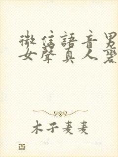 微信语音男声变女声真人变声器