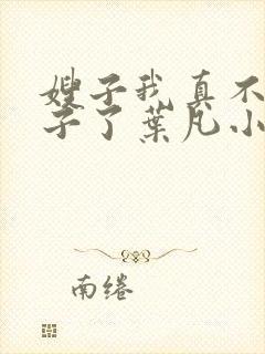 嫂子我真不是傻子了叶凡小说.txt