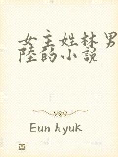 女主姓林男主姓陆的小说