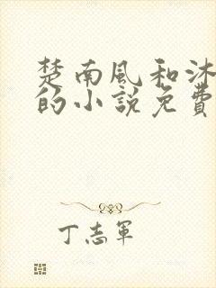 楚南风和沐婉柔的小说免费阅读