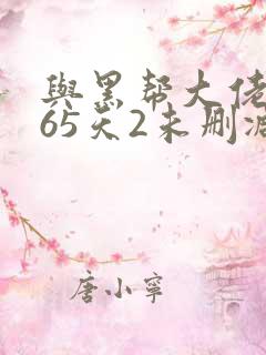 与黑帮大佬的365天2未删减版