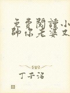 免费阅读小说少帅你老婆又跑了全文