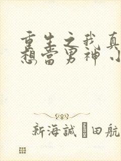 重生之我真的没想当男神 小说