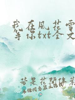 我在风花雪月里等你txt全文下载