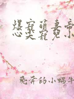 爆宠萌妻帝少的心尖宠儿小说