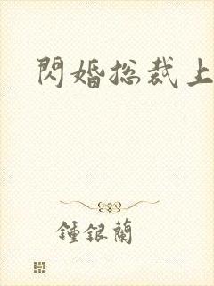 闪婚总裁上恋综