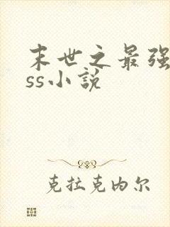 末世之最强boss小说