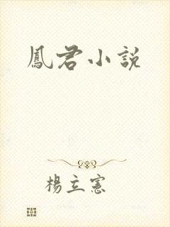 凤君小说