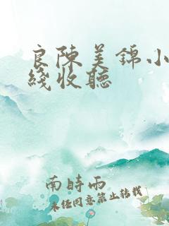 良陈美锦小说在线收听