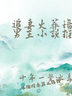 追妻火葬场的双男主小说推荐