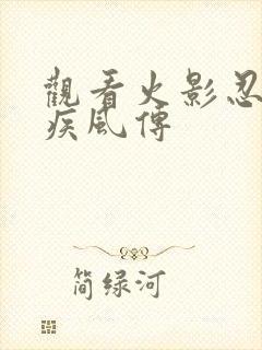 观看火影忍者 疾风传