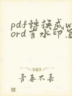 pdf转换成word有水印怎么办