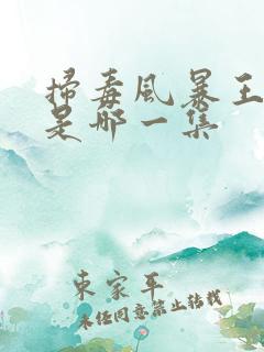 扫毒风暴王奇死是哪一集