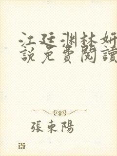 江廷渊林妍的小说免费阅读全文