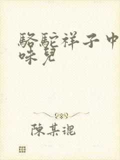 骆驼祥子中的京味儿