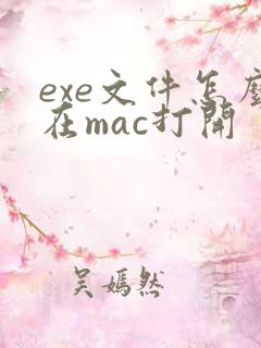 exe文件怎么在mac打开