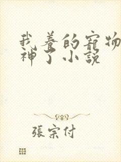 我养的宠物都超神了小说