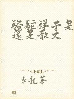 骆驼祥子是小说还是散文