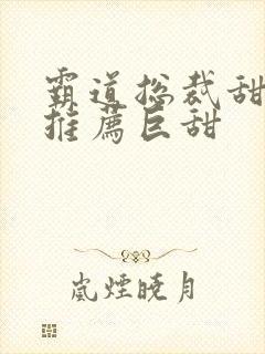 霸道总裁甜宠文推荐巨甜