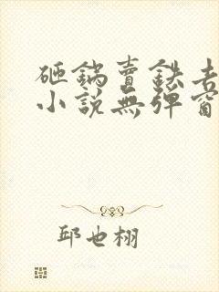 砸锅卖铁去上学小说无弹窗全文免费阅读