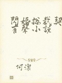 闪婚总裁契约妻有声小说