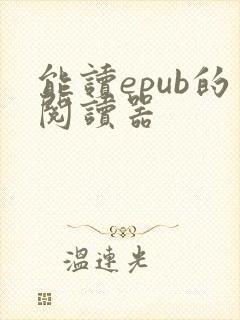 能读epub的阅读器