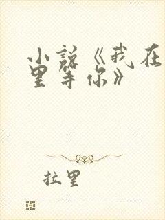 小说《我在回忆里等你》