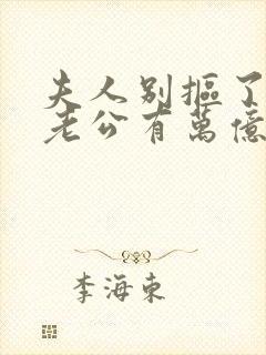 夫人别抠了,你老公有万亿