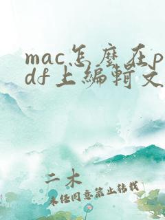 mac怎么在pdf上编辑文字