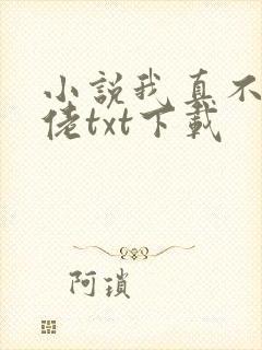 小说我真不是大佬txt下载