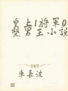皇上1将军0的双男主小说