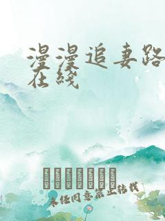 漫漫追妻路小说在线