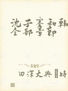 沈子骞和韩琼莹全部章节