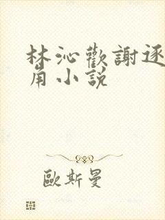 林沁欢谢逐年主角小说